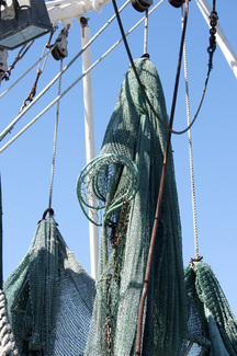 Shrimp boat at Ft. Myers Beach