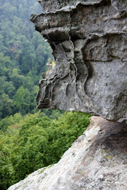 Hawksbill Crag Whitaker Trail