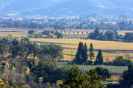 Napa Valley from Rutherford Hill Winery