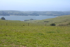 Barinaga Ranch on Tomales Bay