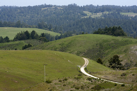 Bodega Bay Hill Road